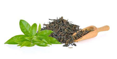 green tea leaf isolated on white backgroundの写真素材