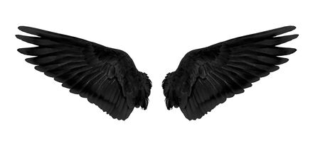 black wings isolated on white background の写真素材
