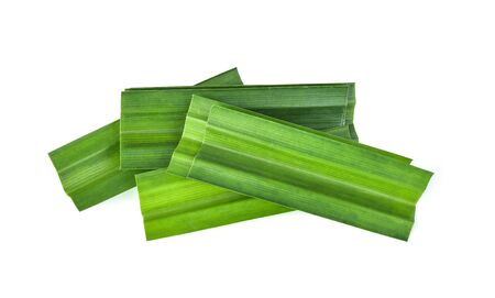 Fresh green Pandan leaves isolated on white background.の写真素材