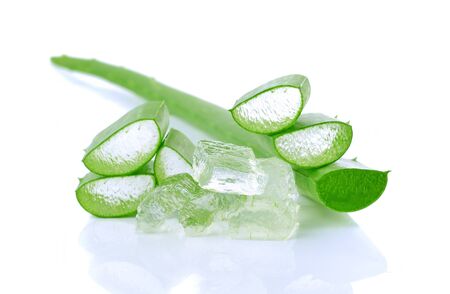 aloe vera fresh leaf.  isolated on  white backgroundの写真素材