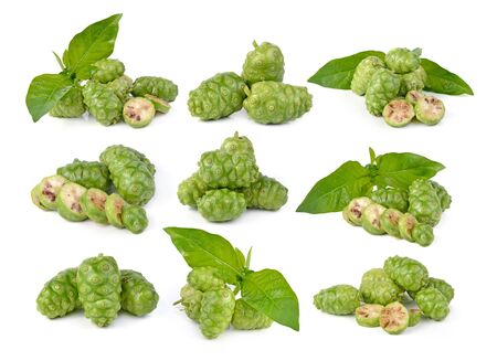  Great morinda isolated on white backgroundの写真素材