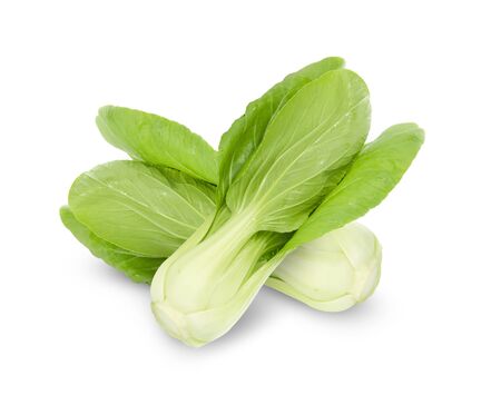 Bok choy (chinese cabbage) isolated on white background.の写真素材