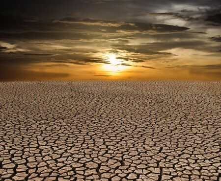 Dried and Cracked Land,Desert dry and cracked ground.の写真素材