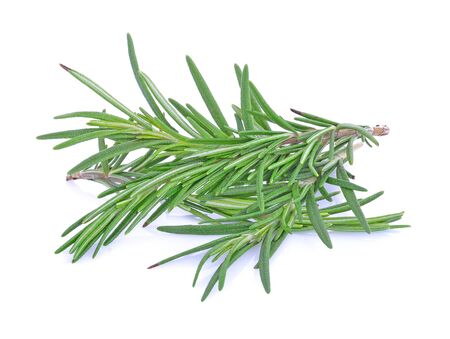 Rosemary isolated on white backgroundの写真素材