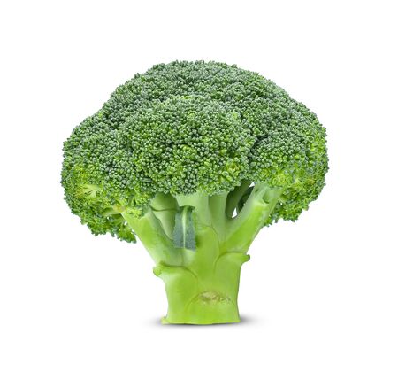 Broccoli isolated on white backgroundの写真素材