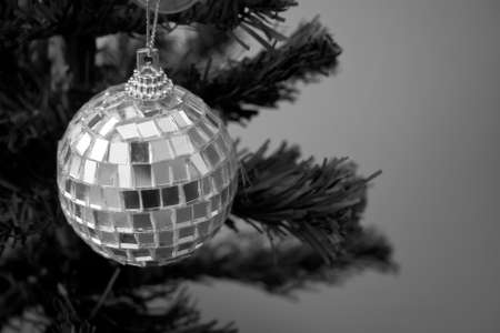 bright christmas ornaments decoration on tree with black and white backgroundの写真素材