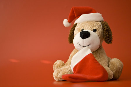 christmas puppy doll with santa hat on red backgroundの写真素材