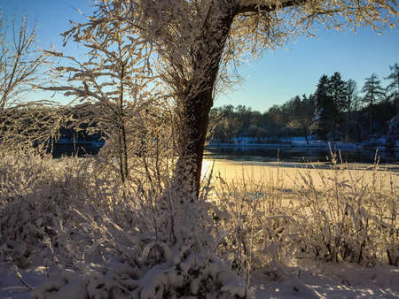 Beautiful winter landscapeの素材