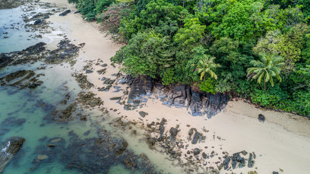 Top view bird eye of sea sand beach - Khao Lak Thailandの写真素材