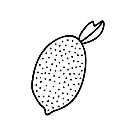 Cute and funny hand drawn vector doodle summer lemon limeのイラスト素材