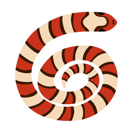 Hand drawn elapidae snake clipart in bright colors. Jungle or zoo serpent rolled into a circle. Tropical or Wild West poison viper in the top view. Vector wildlife concept. Coral dangerous snakeのイラスト素材