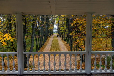 Autumn park in an old Russian manor house. View of the avenue from the high terrace.の写真素材