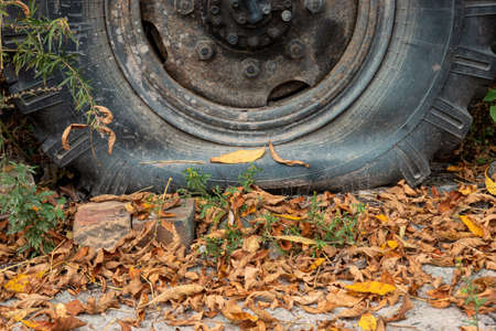 An old flat truck wheel stands on the ground covered with fallen leaves. The rubber is cracked, rust is visible on the metal part. Background. Texture.の写真素材
