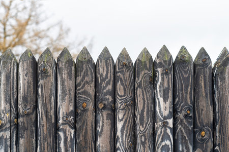 The top of the fence is made of sharpened wooden logs. The structure of the wood is accentuated by...