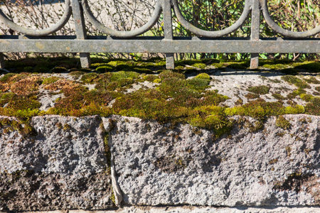 Green moss grows on stone blocks of the fence. A fragment of a steel fence made of rods is visible in the upper part. Background. Details. Textureの写真素材
