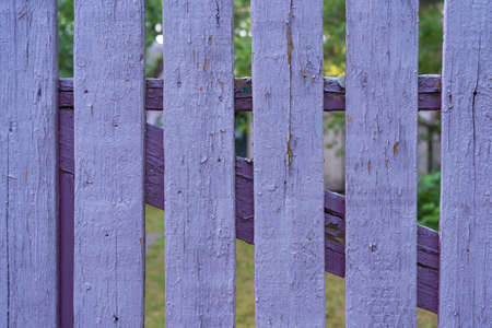 Fragment of an old wooden fence. The planks are painted purple, the texture of the previous layers of paint is visible. Frame boards and vegetation are visible in the gap. Background.の写真素材