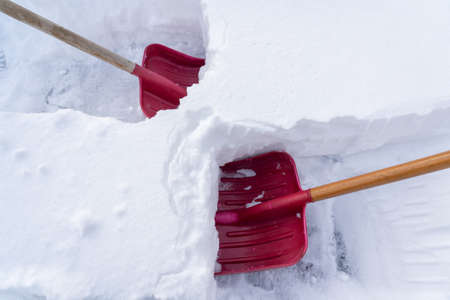 Two red shovels shovel deep fresh snow in parallel and towards each other. Background. Winter activity.の写真素材