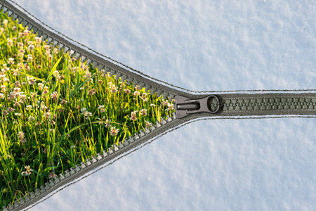 Young green grass is visible under an even layer of white snow fastened with a zip fastener....