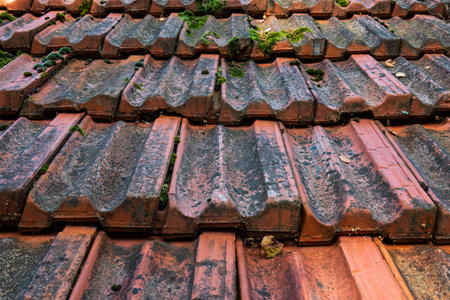 Close-up of a fragment of an antique clay tile roof. There is dirt and moss on the surface of the tiles. Background. Vintage.の写真素材