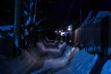 Village lane leading up the mountain at night in winter. There are low lanterns. At the end of the road there is darkness. Scenery.の写真素材