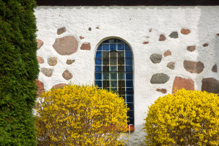 A fragment of a white stucco wall of an ancient building with protruding stones. There is an arched window with blue glass. In the foreground is a blooming forsythia. Background.の写真素材