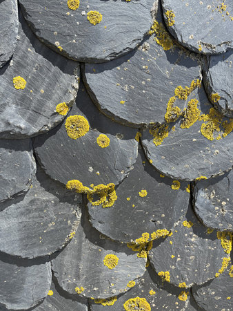 Detail of a black slate roof in Carcassonne, France. The round elements have irregularities and...