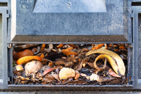 Food scraps visible in open door of garden compost bin. Making compost. Background.