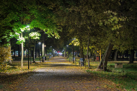 Dark autumn evening park alley. Yellow fallen leaves lie on the path. Street lamp is shining. Background. Landscapeの写真素材