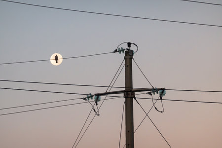 Concrete power line pole against the morning sky. A bird sits on an electric wire against the background of a round moon. Background.の写真素材