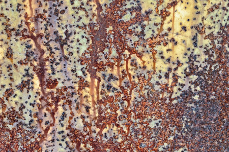 Close-up of a metal sheet with corrosion. Remains of old paint and streaks of rust are visible....