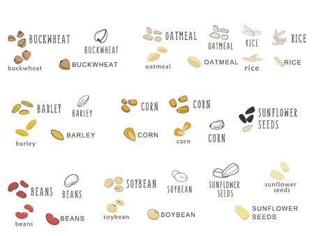 Set of vector logo elements for healthy food, raw food, vegetarian. Grain and Cereals. Beans, corn, oatmeal, rice, soybean peas  のイラスト素材