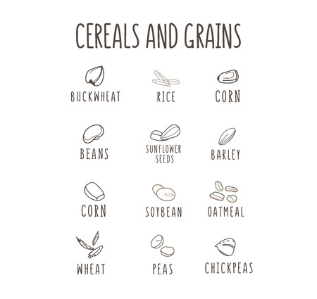 Set of vector logo elements for healthy food, raw food, vegetarian. Grain and Cereals. Beans, corn, oatmeal, rice, soybean peasのイラスト素材