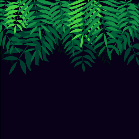 Background with tropical trees. Leaves palm tree illustration. Modern graphics.のイラスト素材