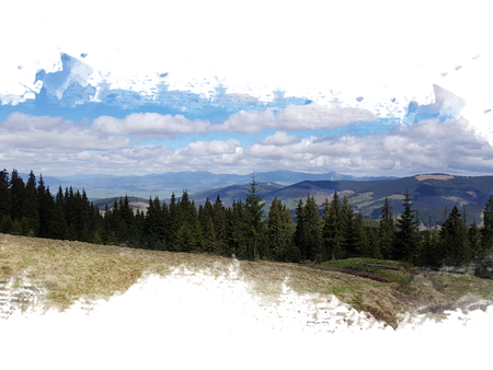 coniferous forest in the mountains, fir trees stand in a row, in the background they have mountains and a mountain chain, a mountain landscapeの写真素材