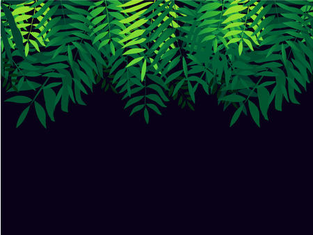 Seamles background with tropical trees. Leaves palm tree illustration black background. Modern graphics.のイラスト素材