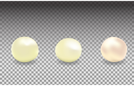 Vector set of pearls of different colors, white pearls, river pearlsのイラスト素材