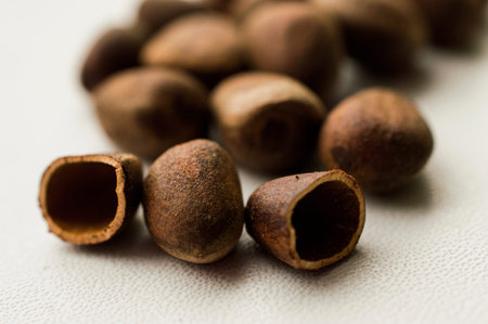 Nuts from cones of Siberian cedar