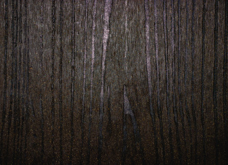 Wooden texture with natural patterns. Floor surface for background. Toned.の写真素材