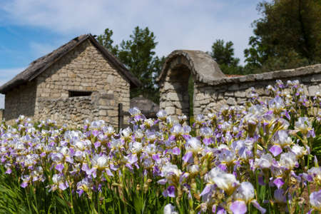 Kiev, Ukraine - May, 2017: Museum of Architecture in Pirogovo. The ancient buildings in which the Ukrainians lived.のeditorial素材