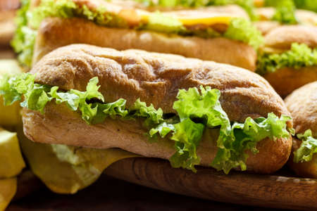 Fresh homemade hamburger with fresh vegetables and herbs.の写真素材