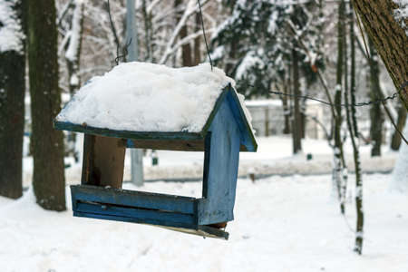 In the winter forest on the tree hangs a bird feeder.の写真素材