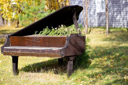 The bed for flowers equipped in an old black piano in the city park. Petunia flowers in an unusual creative bed.の写真素材