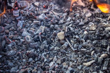 Cooking meat on the fire. Shish kebab on the grill. The grill is lit outside in winter. Fry shish...