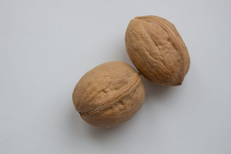 Walnut close - up isolated on a white background.
