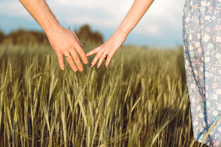 A man's hand and a woman's hand together in a field of wheat. Harvest, way of life, the concept of...