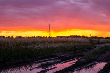 Beautiful pink and orange sunset in the field. A fiery, bright sunset.の写真素材