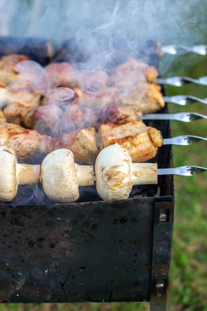 barbecue on the lake on skewers and barbecue with coals and smokeの写真素材