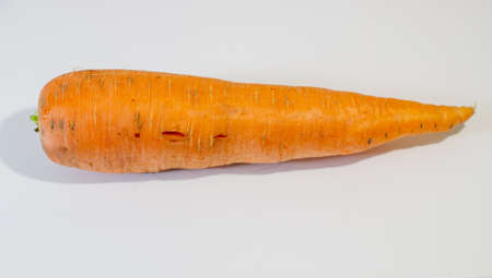 Large, fresh carrot isolaLarge, fresh carrot isolated on a white backgroundted. High quality photoの写真素材