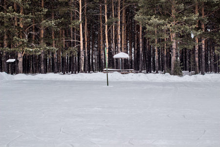 A walk through the winter forest. Snow trees and a cross-country ski trail. Beautiful and unusual...