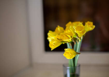 A yellow bouquet of daffodils in a glass vase on the windowsill in the room. A nice gift for your loved oneの写真素材